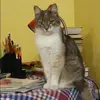 Отзыв от Наталия Кулешова